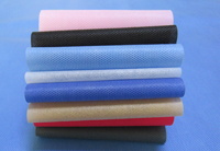 魏县涤纶（PET）无纺布是什么